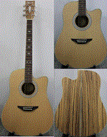 Acoustic Guitar DG-341 CN